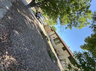 Weeding by Joshua Hines for Andrew M. in Aurora, CO