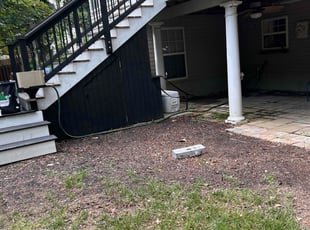 Kelly C.'s Leaf Removal service result