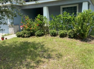 Bush Trimming by Idris Quinn for Justin C. in Haines City, FL