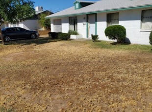 Bush Trimming by Damian Hudson for Karen M. in Glendale, AZ