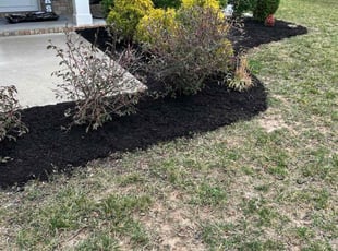 Bush Trimming by Blake Nelson for Thomas d. in Murfreesboro, TN