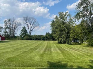 Matthew M.'s Yard Cutting service result