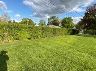 Bush Trimming by Elton Davis III for Kailey B. in Hilliard, OH