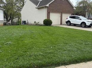 Nick W.'s Lawn Service service result