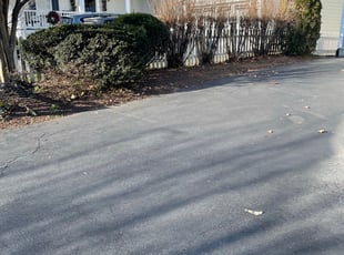 Leaf Removal by Alesandre Duarte for Dana H. in Ashburn, VA