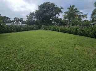 Valerie C.'s Lawn Mowing service result