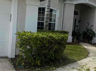 Bush Trimming by Delson Auguste for Maksym B. in Orange Park, FL