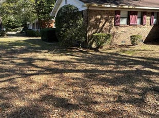 Bush Trimming by Travis Frederickson for Ashley W. in Pensacola, FL