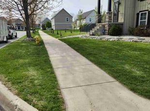 Elisabeth C.'s Lawn Mowing Service service result