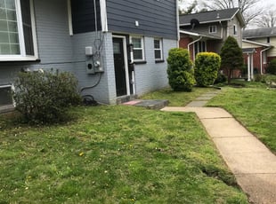 Bush Trimming by Kamonta Hackey for Carina J. in Silver Spring, MD