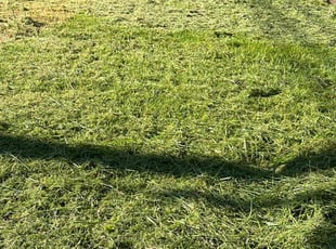 John S.'s Yard Cutting service result