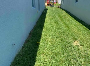 Elizabeth S.'s Lawn Care service result