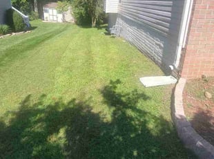 Eli W.'s Lawn Service service result