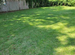 Djamel C.'s Yard Cutting service result