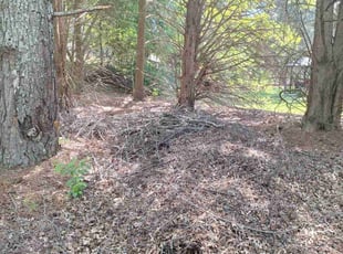 Leaf Removal by Rickey Mccoy for Jeffrey J. in Buford, GA