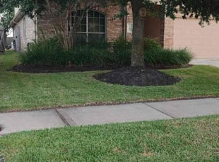 Amos Y.'s Lawn Care service result