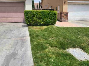Bush Trimming by Perry Roper for Veronica C. in Riverside, CA