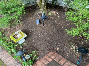 Cleanups by Ryden Varland for Christine W. in Sammamish, WA