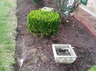 Weeding by Rómulo González for Adrian R. in Capitol Heights, MD