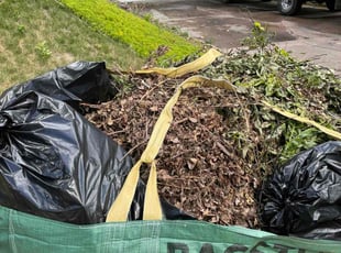 Cleanups by Bill Schwartz for Chris B. in Littleton, CO