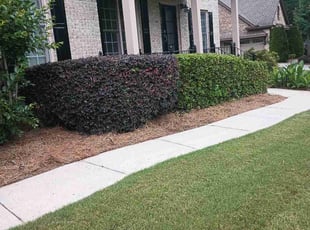Bush Trimming by Danny Little for Cliff W. in Marietta, GA