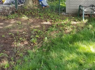 Leaf Removal by John Rogers for Kathryn S. in Akron, OH