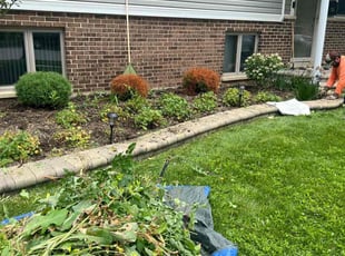 Weeding by Manuel Fraire for Brian Z. in Schaumburg, IL