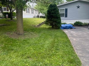 Hannah F.'s Lawn Maintenance service result