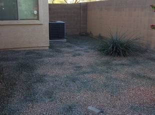 Cleanups by Chris Wayne for Quincy S. in Surprise, AZ