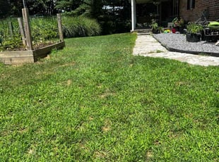 Vicki B.'s Lawn Mowing service result