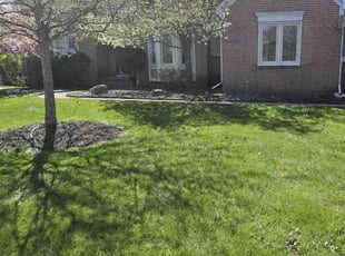 Wendy D.'s Yard Cutting service result