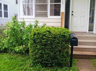 Bush Trimming by Kevin Rhyne for Tim W. in Madison, WI