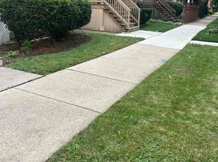 Stephanie P.'s Lawn Care service result