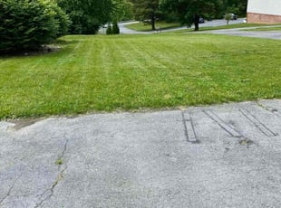David S.'s Yard Cutting service result
