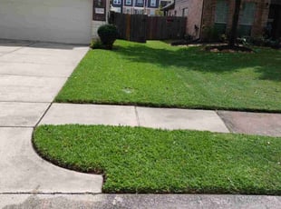 Marie W.'s Lawn Maintenance service result
