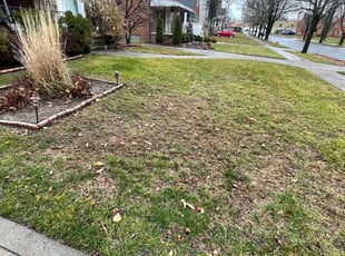 Leaf Removal by Devan Lackey for Peter P. in Cleveland, OH