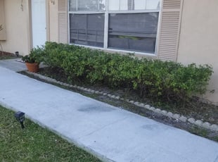 Bush Trimming by Jose Taveras for Katelyn S. in Palm Bay, FL