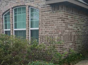 Bush Trimming by Gabriel Pearson for Jessica F. in Houston, TX