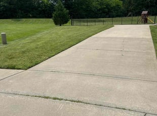 Deborah D.'s Lawn Mowing service result
