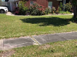 Weeding by Joseph Bello for Michael T. in Warner Robins, GA