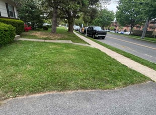 Cleanups by David Alexander for David P. in Frederick, MD