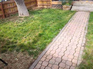 Weeding by Alley Parker for Dylan O. in Golden, CO
