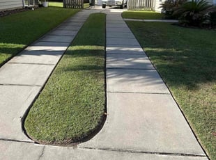 Cathy G.'s Lawn Service service result