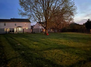 Stan C.'s Lawn Mowing service result
