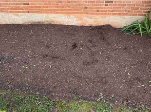 Weeding by Icaro Dos Santos for Catherine B. in Gaithersburg, MD