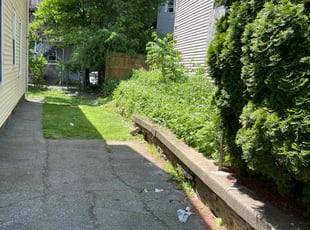 Bush Trimming by Handy Ellison for mateo m. in Waterbury, CT