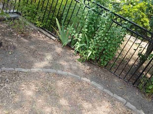 Weeding by Rodney Powell for Samantha Z. in Alexandria, VA