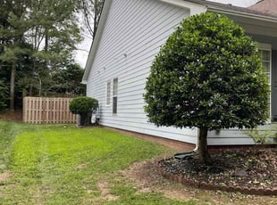 Bush Trimming by Taylor Johnson for Amanda A. in Charlotte, NC