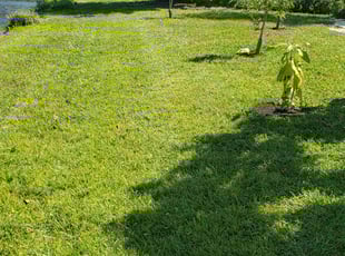 Jess J.'s Lawn Service service result