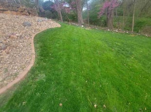 Shirley J.'s Lawn Mowing service result